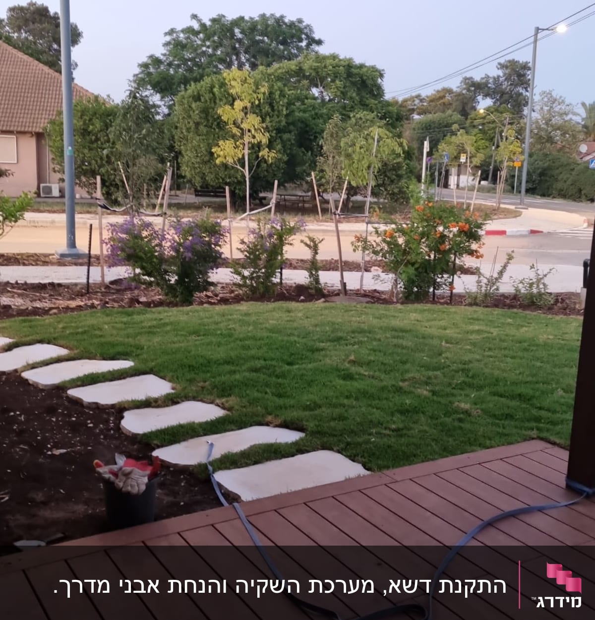 שביל אבנים, דשא, צינור השקיה ודלי עם כפפות